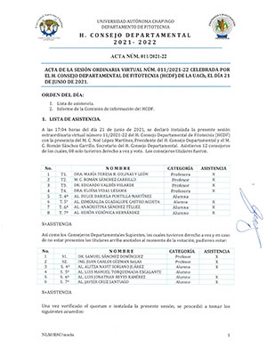 Acta de Consejo 11