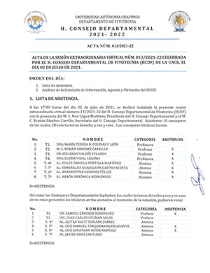 Acta de Consejo 13