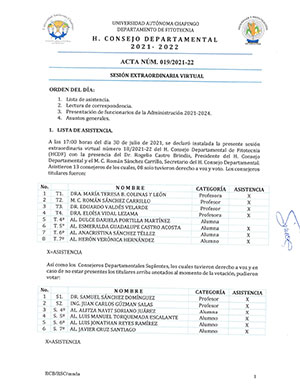 Acta de Consejo 19