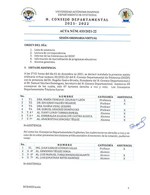 Acta de Consejo 33