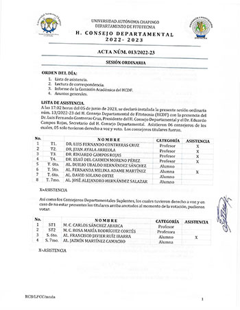 Acta de Consejo 13